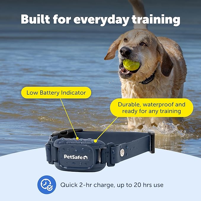 PetSafe Pro Dog Trainer with Remote and Add-A-Dog Collar Waterproof Training Collar 1000 ft Range Tone, Vibration and 19 Levels of Static Sleek, Low-Profile Design