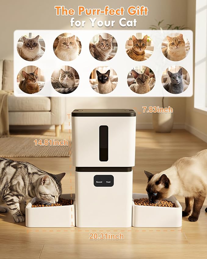 Yakry Automatic Cat Feeder for 2 Cats - Two HD Cameras Easy Setup 5GHz Stable WiFi Dog Food Dispenser with HD Night Vision - 8L Pet Feeder with Dual Bowls for Multi-Cat & Small Dogs Indoor