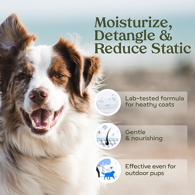 PAWFUME Dog Cologne Spray for Grooming, Blue Ribbon, 1-Pack | Probiotic alcohol-free grooming & finishing mist conditions, freshens between baths and supports Dog Spray Deodorizer Perfume