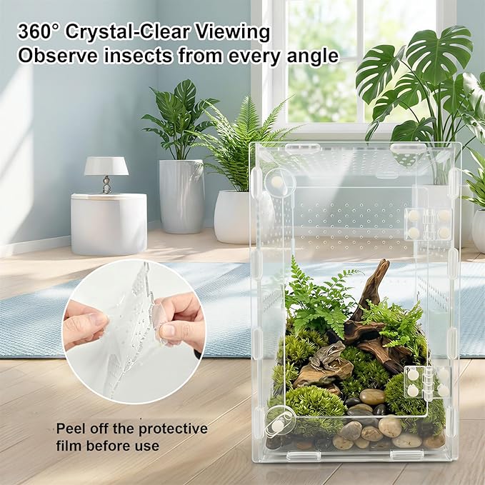 Jumping Spider Enclosure, Acrylic Terrarium for Tarantula & Reptiles, Front Opening Door Habitat for Spiders, Mantis, Frogs & Lizards (10x6x6 Inch)