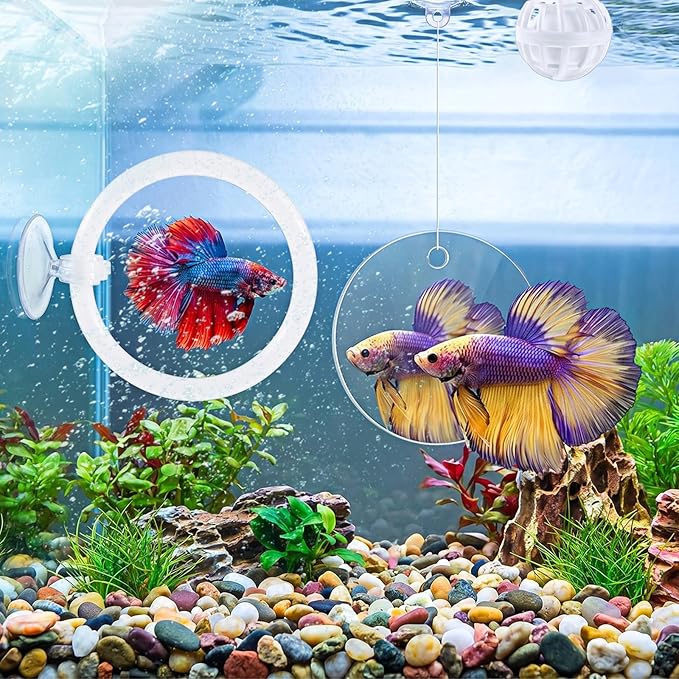 Betta Fish Tank Accessories Beta Enrichment Toys 2 Fish Exercise Training Rings with Suction Cups 2 Nitrifying Balls and 1 Floating Mirror with Ball for Aquarium Tank