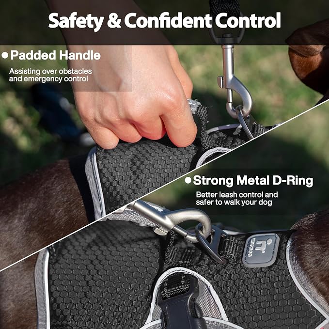 Escape Proof Dog Harness, Dachshund Harness, Reflective Dog Harness with Handle, Durable,Adjustable Vest for Small Medium Large Dogs Walking, Training, and Running Gear (Black,M)