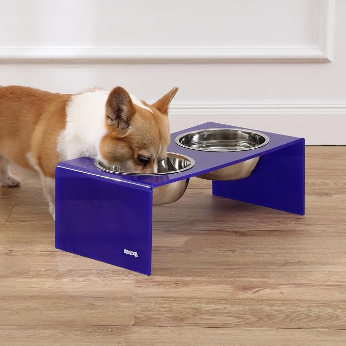 DBL2001F Keaton 7.5" Medium/Large Modern Acrylic Rectangular Elevated Pet Feeder with 54oz 2-Stainless Steel Bowls, Purple/Chrome