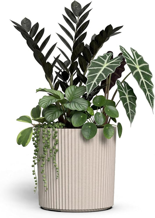 Mayne Haven 12-Inch Fluted Planter, Round Planters for Outdoor Plants, Lightweight Concrete Look Plant Pots for Porch, Patio, Garden and Entryway Décor, Chai