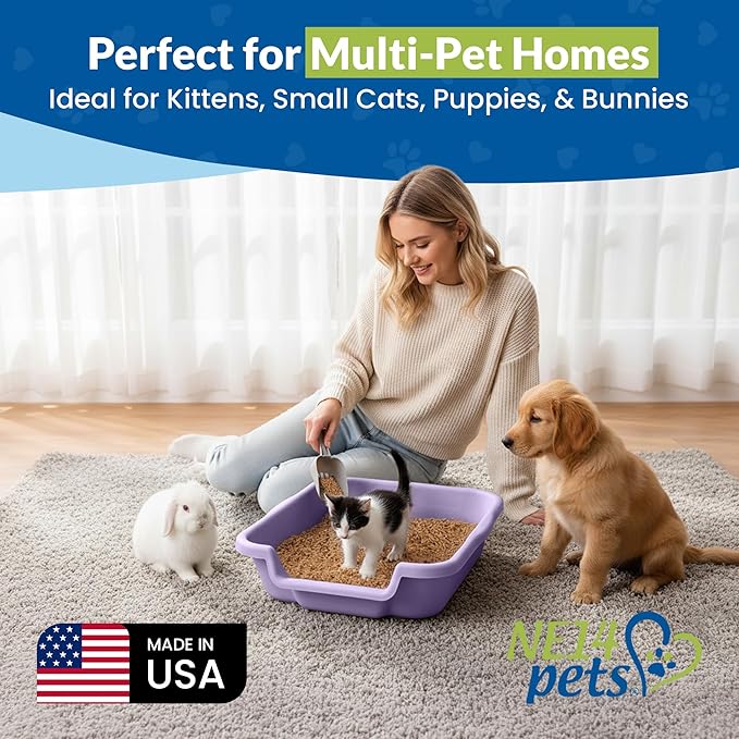 Kitty Go Here Small Size, Storybook Lavender Color, Durable & Pet Safe Kitty Litter Box, Low 3" Entry and Lots More Room for Your Cats Comfort, Made in USA
