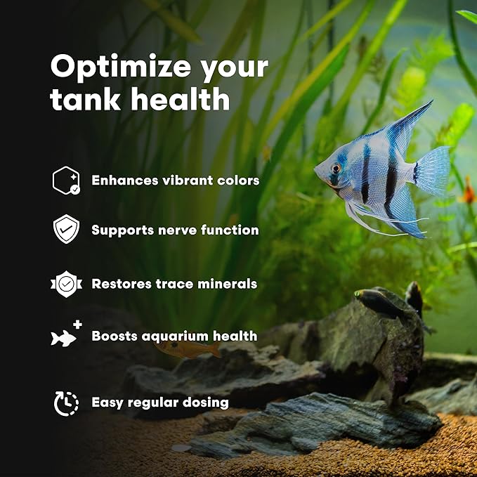 Brightwell Aquatics DiscusCōde Trace and Minor Element Supplement Supports Coloration Nerve Function Overall Health in Discus and Amazonian Freshwater Fish, 2L