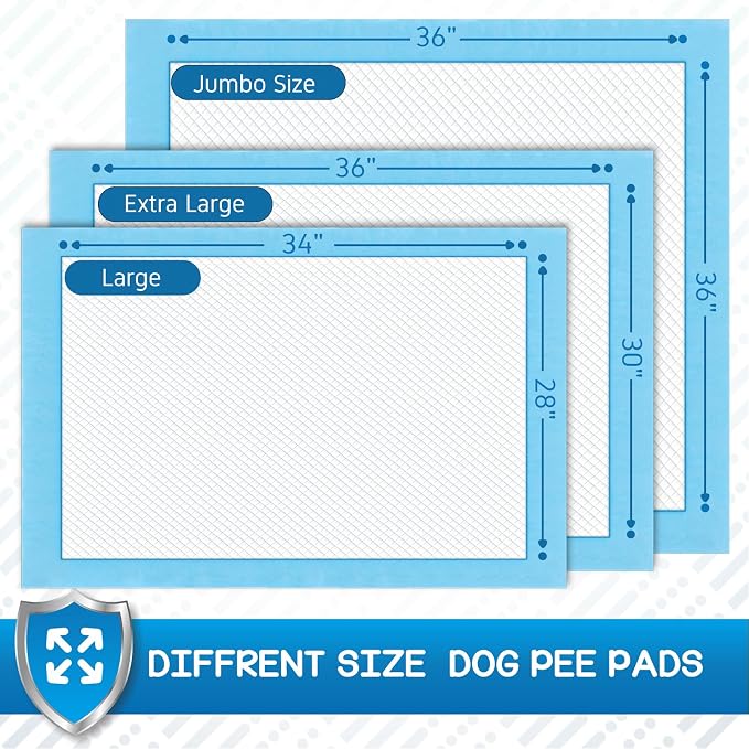 CROCI XXL Pee Pads for Dogs with Adhesive Tabs Leak Proof 30x36in 40Ct | Thick Super Absorbent Puppy Pads for Large Dogs, Heavy Duty Quick-Dry Wee Wee Pads for Dogs, Disposable