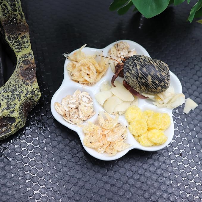 3 Pack Hermit Crab Food Bowl & Water Dish, Ceramic Hermit Crab Feeder Kit, Suitable for Hermit Crab Tarantula Snail
