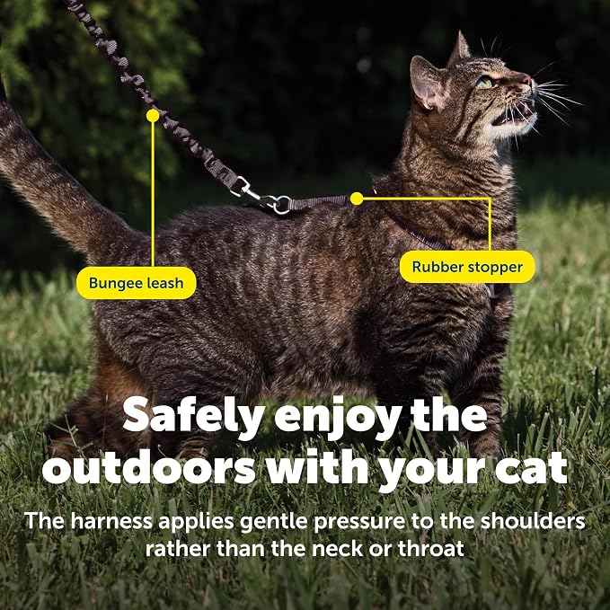 PetSafe Come with Me Kitty Harness and Bungee Cat Leash, Black, Small | Adjustable 2-Point Fit Applies Gentle Pressure to Shoulders, Not Neck, for Kittens and Small Cats with 9 in - 11 in Girth