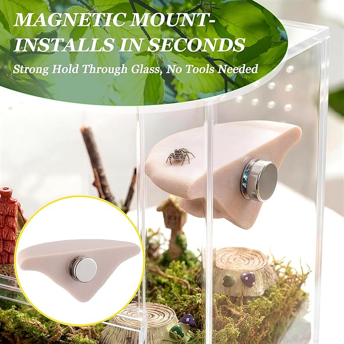 6 Pcs Jumping Spider Accessories, Mushroom Ledges & Feeding Dish and Water Dispenser, Magnets Jumping Spider Enclosure/Habitat Decor for Small Animals, Geckos, Tarantulas