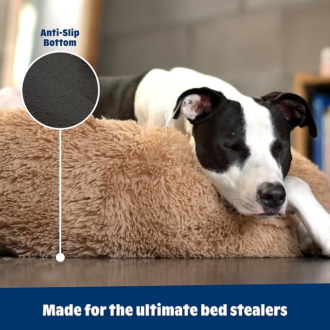 Barkbox Dog Bed Memory Foam Donut Cuddler - Calming Orthopedic Joint Relief Fur Crate Lounger for Pets, Machine Washable + Removable Cover, Waterproof Lining, Includes Toy - Larger Pets - 65lbs | Calming Orthopedic Joint Relief Furry Crate Lounger for ...