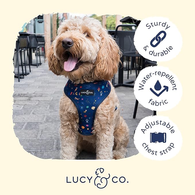 Lucy & Co. Reversible Dog Harness - Water-Repellent Neoprene, Dual-Print Design, Easy Swap Style, Adjustable Comfort Fit - Space Doodle Reversible Harness - X-Small