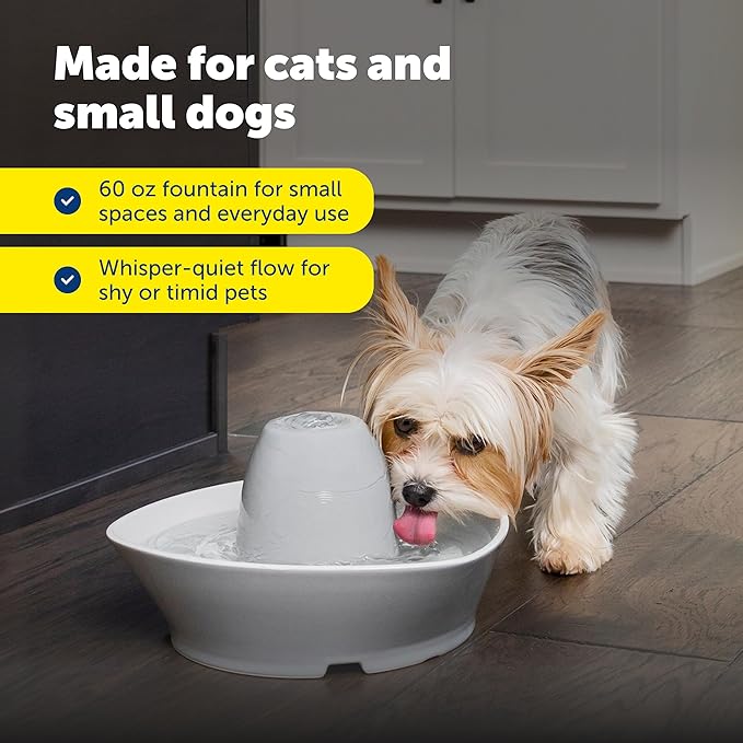 PetSafe Creekside Ceramic Pet Fountain, 60 Oz, Extra Filters | 60 Oz Capacity, Whisper-Quiet Flow, Includes 12 Extra Carbon & 2 Extra Foam Filters, Dishwasher Safe, Cats & Small Dogs
