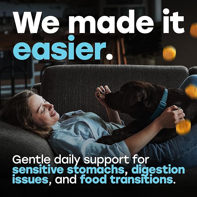 Probiotics for Dogs – 1 Billion CFU 6-Strain Probiotic Chews with Pumpkin, Papaya, Turmeric – Digestive Health, Gut Health, Itchy Skin and Allergy Support for All Breeds, Beef Flavor