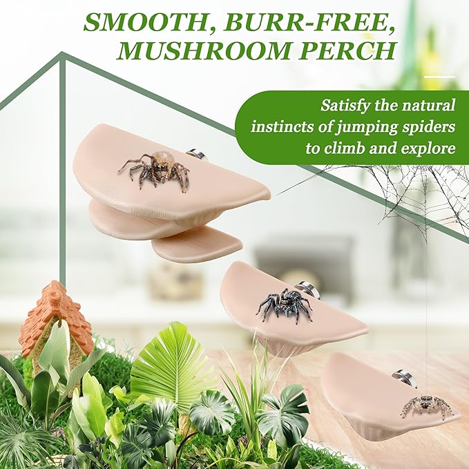 6 Pcs Jumping Spider Accessories, Mushroom Ledges & Feeding Dish and Water Dispenser, Magnets Jumping Spider Enclosure/Habitat Decor for Small Animals, Geckos, Tarantulas