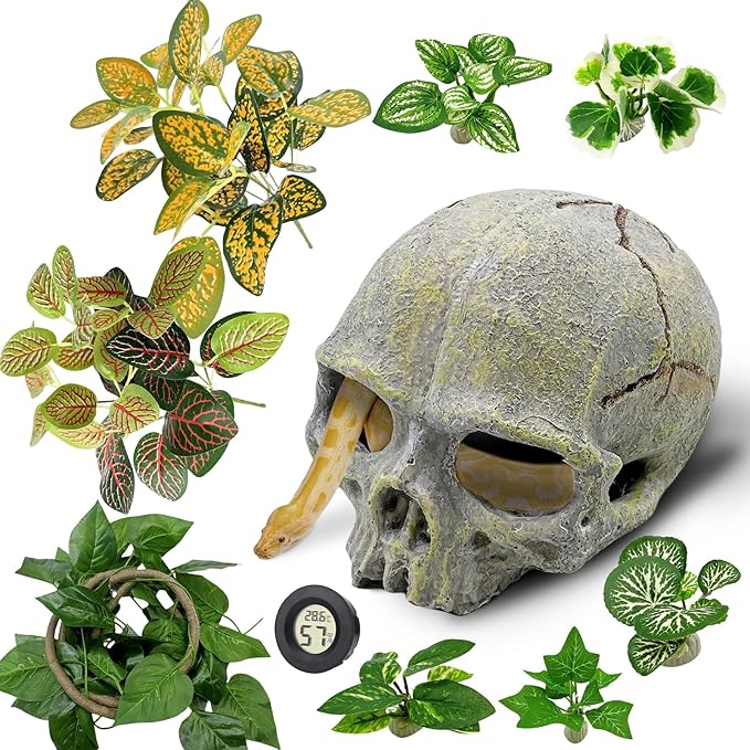 Tfwadmx 11Pcs Human Skull Decor with Plants, Snake Hide, Gecko Tank Accessories, Resin Skull with Climbing Vines Reptile Terrarium Tank Decor for Tarantulas, Lizards