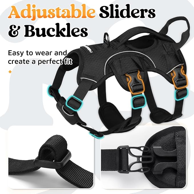 rabbitgoo Escape Proof Dog Harness for Small, No Pull with Lift Handle | No Escape, Full Soft Padded, Reflective Adjustable Vest, Leash Clip for Walking Hiking Training, Black, Small