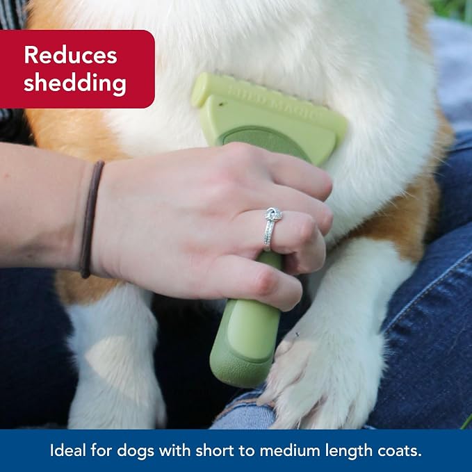 Coastal Pet Safari Shed Magic Deshedding Tool for Dogs with Medium to Long Hair - Deshedding & Detangling Dog Brush - Medium