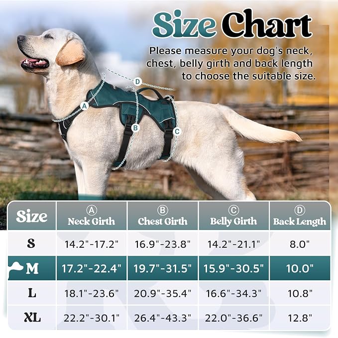 rabbitgoo Escape Proof Dog Harness for Medium, No Pull with Lift Handle | No Escape, Full Soft Padded, Reflective Adjustable Vest, Leash Clip for Walking Hiking Training, Dark Green, Medium