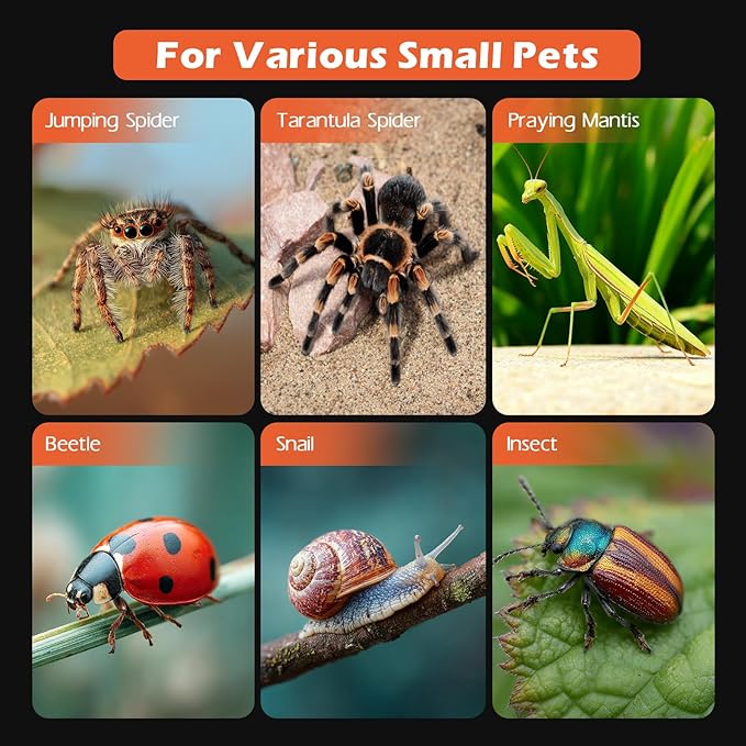 AZV Jumping Spider Enclosure Escape Proof Praying Mantis Habitat Arboreal Tarantula Terrarium with Magnetic Opening Door Baby Spider House Fully Transparent Acrylic Reptile Tank Insect Cage Bug Cribs