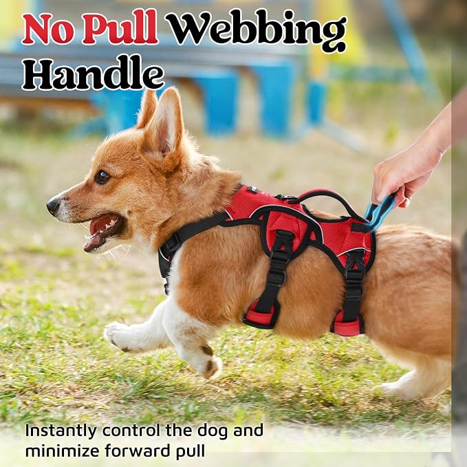 rabbitgoo Escape Proof Dog Harness for Small, No Pull with Lift Handle | No Escape, Full Soft Padded, Reflective Adjustable Vest, Leash Clip for Walking Hiking Training, Red, Small