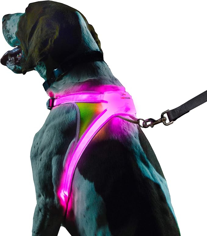 noxgear LightHound Light Up Reflective Dog Harness, X-Large | 360° Light Up Reflective Dog Harness, 8 Colors & 6 Modes, USB Rechargeable, Adjustable, Rainproof, LED Fiber Optic