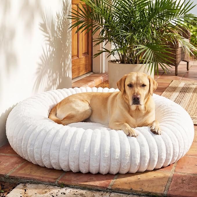 Donut Dog Bed for Large Dogs - Pet Bed with Removable Cover, Self-Heating Winter Pet Beds for Medium & Big Dogs, Egg Tart Design (L) Dog beds Medium Sized Dog self Warming
