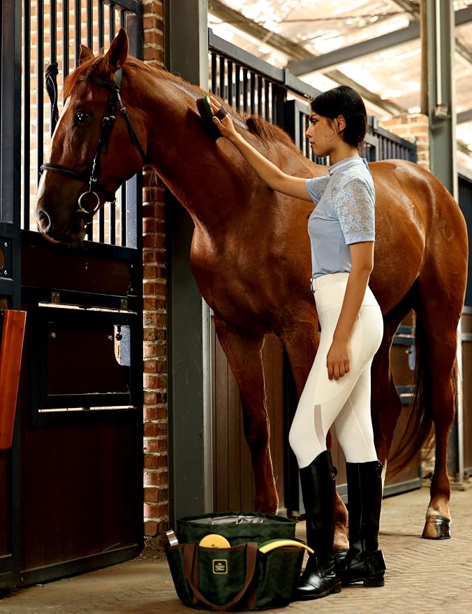 Horse Grooming Kit, 9 Piece Grooming Brush Set with Silicone Curry Comb for Bathing & Shedding Pasture Glow