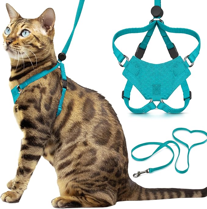 Houdini™ Escape Proof Kitten Harness and Leash (Turquoise, S) | Adjustable walking vest with 6ft lead, breathable mesh, snug secure fit, light and gentle for first outdoor adventures