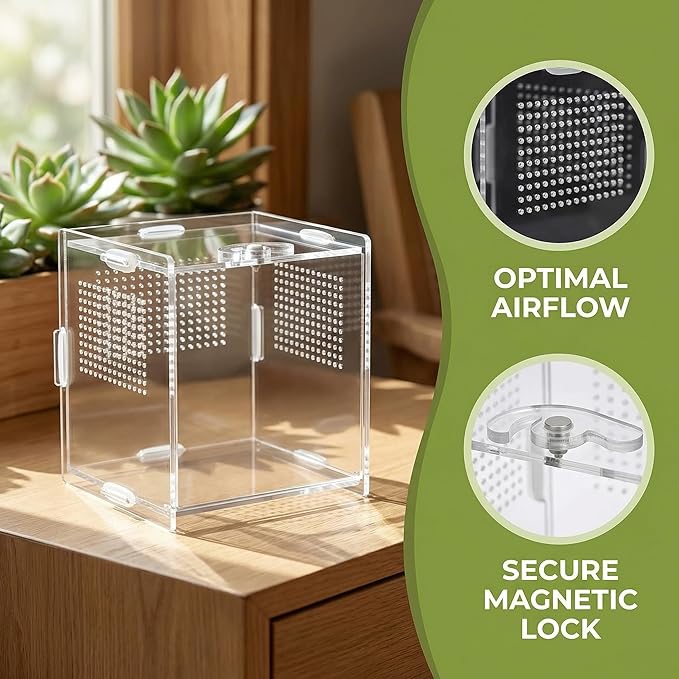 VERTUPET Jumping Spider Enclosure,2 Pack Insects Habitat,Small Arboreal Reptile Terrarium Acrylic Accessories Kit,Tarantula Enclosure Bug Cage for Frog,Crickets, Praying Mantis,Snails（4x4x4inch）