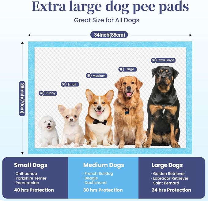 SCLOSE XL Dog Pee Pads 100 Count, 34"x28" Disposable Puppy Training Pads | Leak-Proof Quick-Dry Super Absorbent Odor Control – Ideal as Crate Mat Liner, for Senior Dogs, Post-Surgery, Indoor & Travel