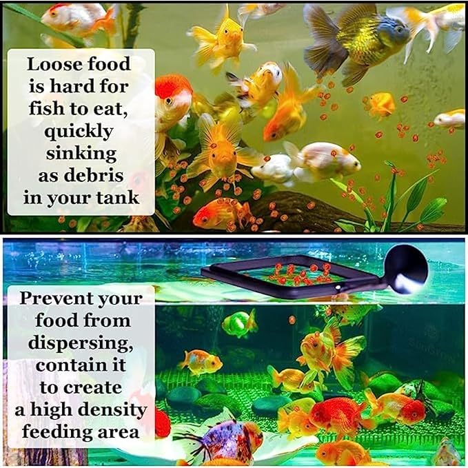 SunGrow 2 Betta Feeding Ring, Prevent Water Turbulence from Washing Food into Filter, Practical Round Floating Food, Suitable for Guppy, Goldfish and Other Small Fish