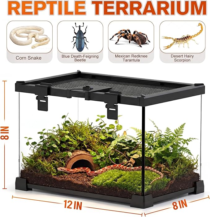 12"x8"x8" Reptile Terrarium, Escape-Proof Glass Terrestrial Vivarium for Hatchling Snakes Such as Corn Snakes, with Escape-Proof Lock & Feeding Hatch