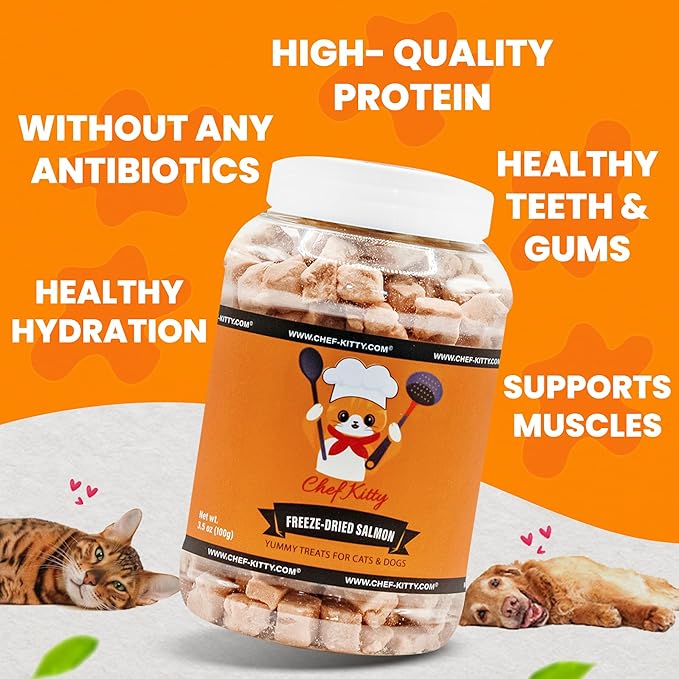 Freeze Dried Salmon Cat Treats | 100% Wild Caught Salmon Dog Treats, Grain- Free | High Protein, Single Ingredient Cat & Dog Food Toppers | No Additives or Preservatives | Tested in USA | 2.6 oz