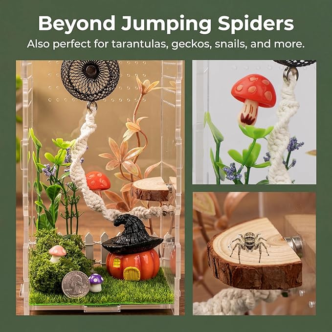 Jumping Spider Enclosure Accessories, 15PCS Decor Kit with Tarantula Habitat Hide Climbing Ledge Water Dish for Spider Tank Decorations