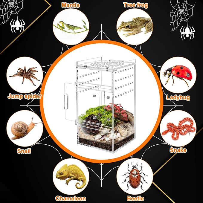 Acrylic Jumping Spider Enclosure Tarantula Enclosure, Full Transparency Spider Enclosure Spider Terrarium Jumping Spider Habitat, Insect Terrarium Bug Enclosure, Arboreal Tarantula Enclosure