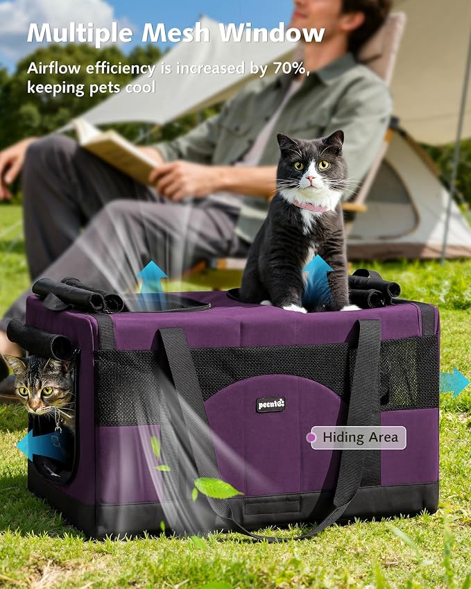 Pecute Cat Carrier, Soft Double Pet Crate for 2 Cats Travel, Purple | 5mm Anti-collapse Frame, Convertible Dual Space, Foldable, Polyester Breathable mesh, Up to 26 lbs, Car Travel & Vet Visits