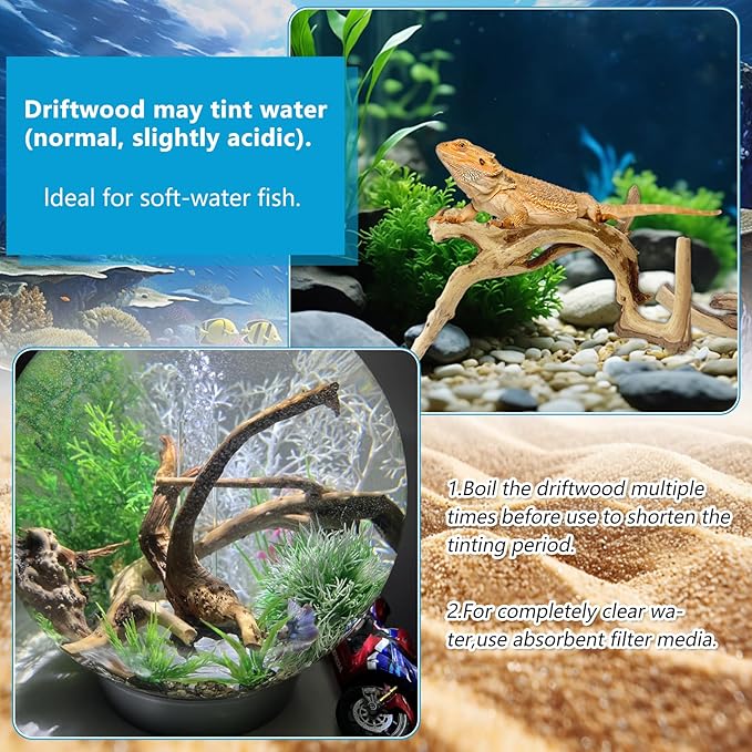 2 PCS Large Natural Spider Wood for Aquarium 12-16", Aquarium Drift Wood, Assorted Size Spider Wood, Twisted Branches Trunk for Fish Tank, Aquascaping, Reptile Climbing Branch, Terrarium Decor