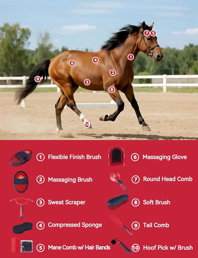 11-Piece Horse Grooming Kit with Waterproof Tote Shadowberry | 10 coordinated horse grooming tools with comfort-grip designs and a spacious waterproof tote for complete horse grooming