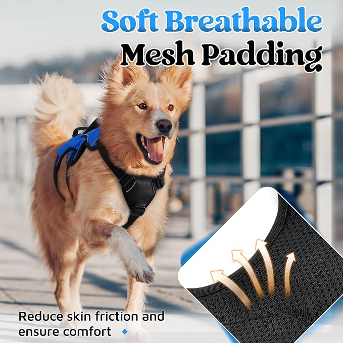 rabbitgoo Escape Proof Dog Harness for Medium, No Pull with Lift Handle | No Escape, Full Soft Padded, Reflective Adjustable Vest, Leash Clip for Walking Hiking Training, Blue, Medium
