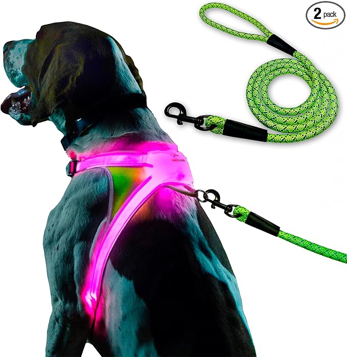 noxgear LightHound Light Up Reflective Dog Harness and Leash, Large | 360° Light Up Reflective Dog Harness, 8 Colors & 6 Modes, USB Rechargeable, Adjustable, Rainproof, LED Fiber Optic