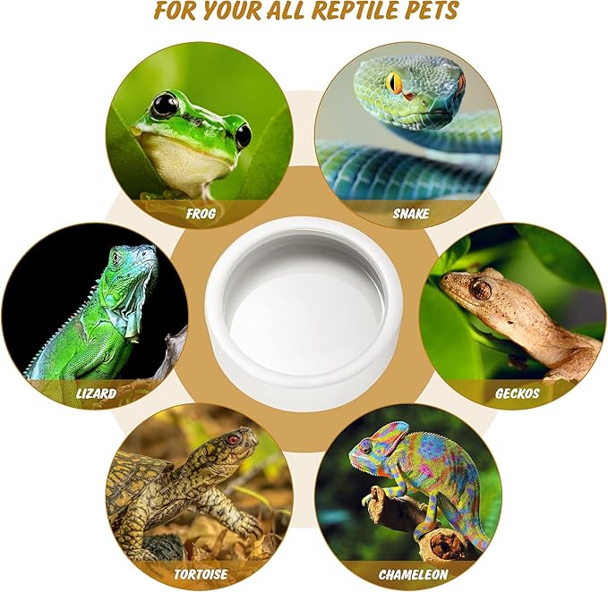 HELIME Reptile Food Dish Bowl, 2 Pack Worm Water Dish Small (2.75in) Lizard Gecko Ceramic Mealworms Bowls for Leopard Bearded Dragon Chameleon Hermit Crab Dubia Cricket Anti-Escape Superworm Feeder
