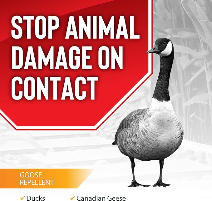 Goose Stopper Repellent Spray for Geese, Ducks & Other Web-Footed Animals - Weather-Resistant Formula - Humane Deterrent for Lawns & Outdoor Areas - 32oz Ready-to-Spray Quart Hose End