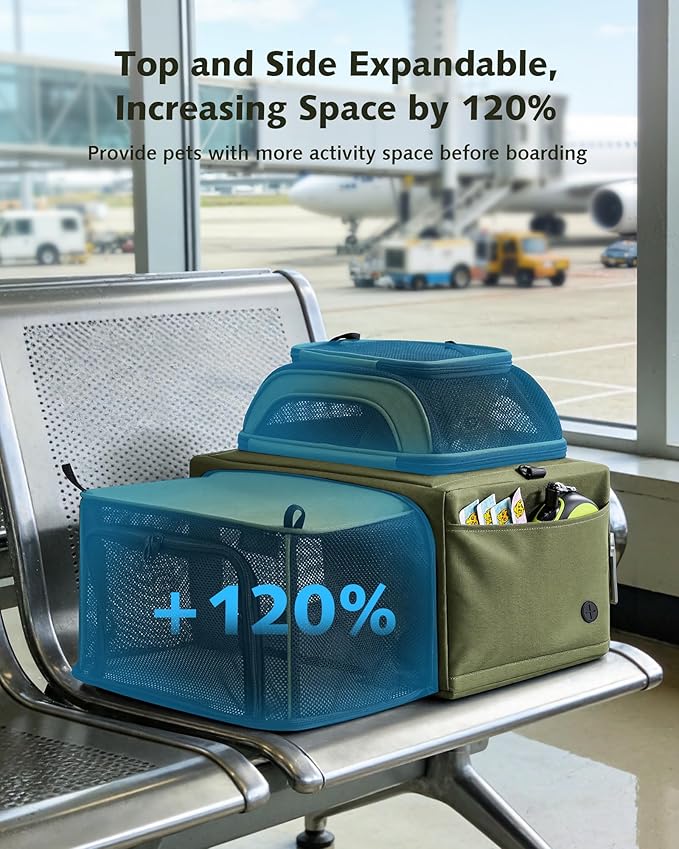Pecute Top Expandable Airline Approved Pet Carrier for Cats, Dark Gray | Top side expandable, breathable scratch-resistant mesh, leakproof pee pad, locking zippers, foldable travel bag under 11lbs.