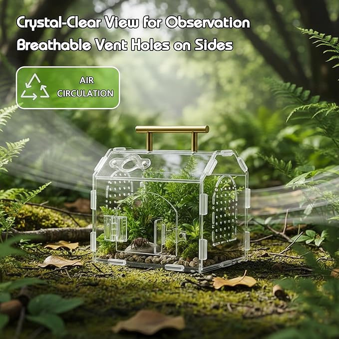 Acrylic Jumping Spider Enclosure (5.9" x 4.7" x 5.5") - Magnetic Door & Handle Terrarium for Tarantulas, Reptiles, Amphibians & Insects - All-Round Transparent, Easy Assembly & Feeding