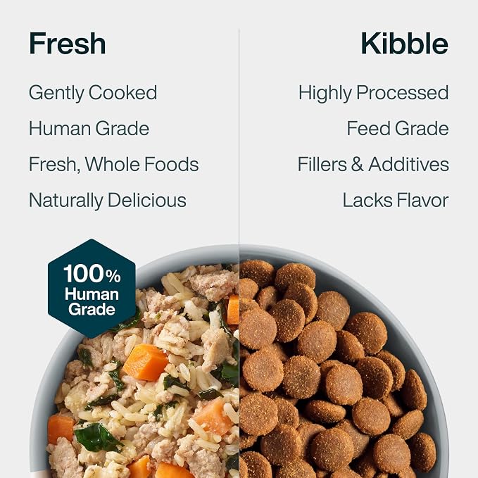 JustFoodForDogs JustFresh Wet Dog Food, Fresh Pet Meals and Toppers with No Preservatives, Resealable Package, Human Grade, Home-Cooked Chicken & Turkey, 12 oz - 14 Pack