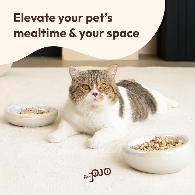 Pebble Pet Bowl Deep Pearl, Ergonomic Dog Cat Feeding Bowl, Flat-Faced Breed, Tilted Ceramic Pet Food Dish, Scooper Eater, Anti-Spill Design, Dishwasher Safe, Modern Pet Bowl, Dry & Wet Diet
