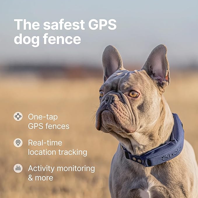 Halo Collar 5 Wireless Dog Fence & GPS Dog Collar, Keep Your Dog Safely Contained Outdoors with App-Controlled Boundaries and Real-Time Tracking, One Size, Midnight