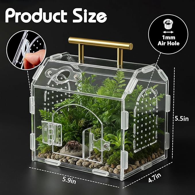 Acrylic Jumping Spider Enclosure (5.9" x 4.7" x 5.5") - Magnetic Door & Handle Terrarium for Tarantulas, Reptiles, Amphibians & Insects - All-Round Transparent, Easy Assembly & Feeding