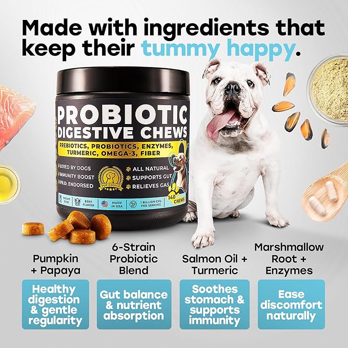 Probiotics for Dogs – 1 Billion CFU 6-Strain Probiotic Chews with Pumpkin, Papaya, Turmeric – Digestive Health, Gut Health, Itchy Skin and Allergy Support for All Breeds, Beef Flavor